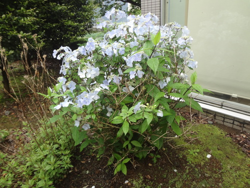 DSC00307.JPG