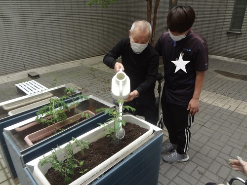 園芸.JPG